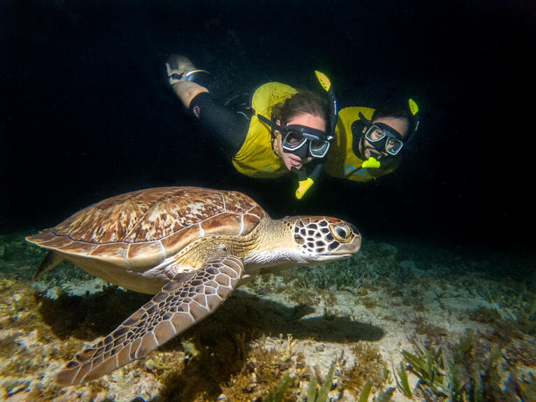 Best Cancun Snorkeling Spots Go City